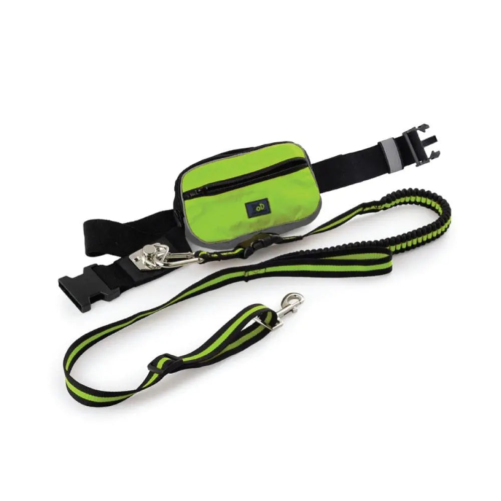 Jogging Dog Bungee Leash - Adjustable Waist Belt Bag + Hands Free Walking Lead - Paws & Palettes