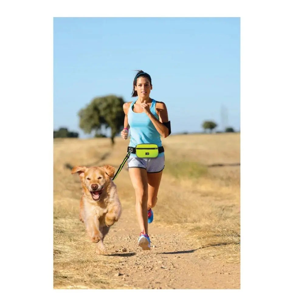Jogging Dog Bungee Leash - Adjustable Waist Belt Bag + Hands Free Walking Lead - Paws & Palettes