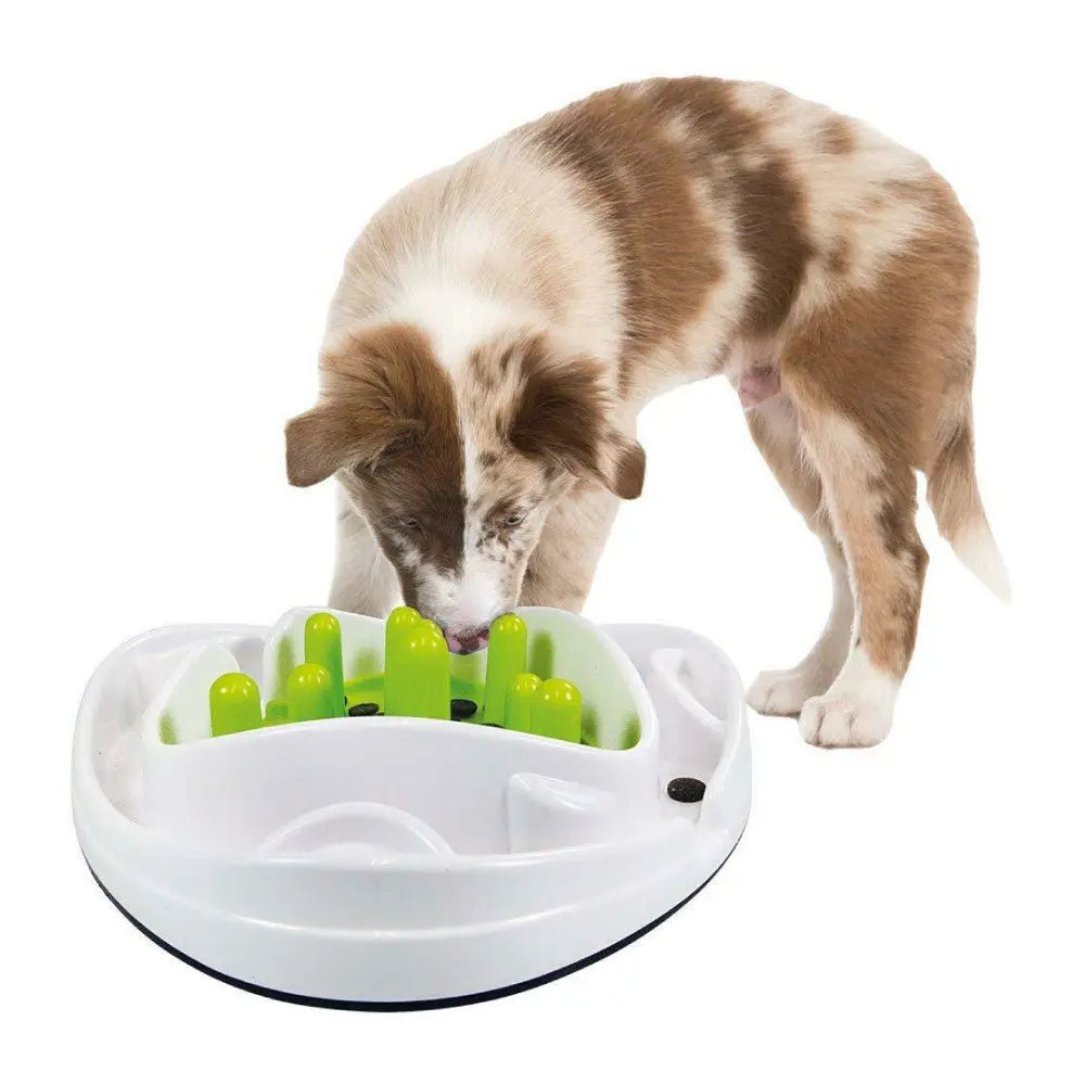 Dog Bowl Food Maze - Interactive Treat Feeder + Water Dish All For Paws Pet - Paws & Palettes