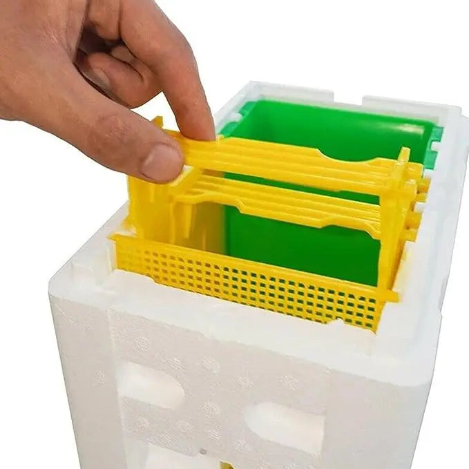 Mini Mating Box Queen Bee Rearing Plastic Styrene Foam Hive Harvest Copulation - Paws & Palettes