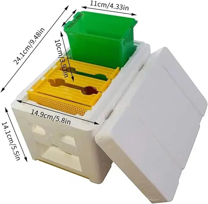 Mini Mating Box Queen Bee Rearing Plastic Styrene Foam Hive Harvest Copulation - Paws & Palettes