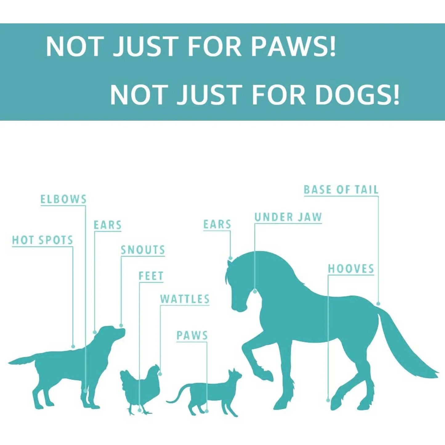 60g Pet Paw Balm - Dog or Cat Natural Organic Nose Soother Wax Ointment Cream - Paws & Palettes