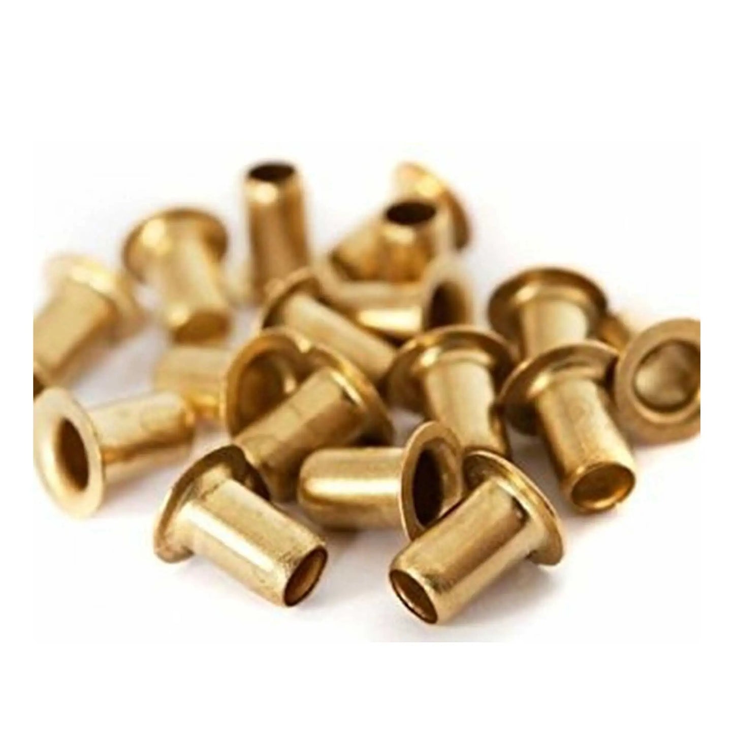1000 Bee Frame Eyelets Brass Fittings Bee Hive Beehive Beekeeping Beekeeper Tool - Paws & Palettes