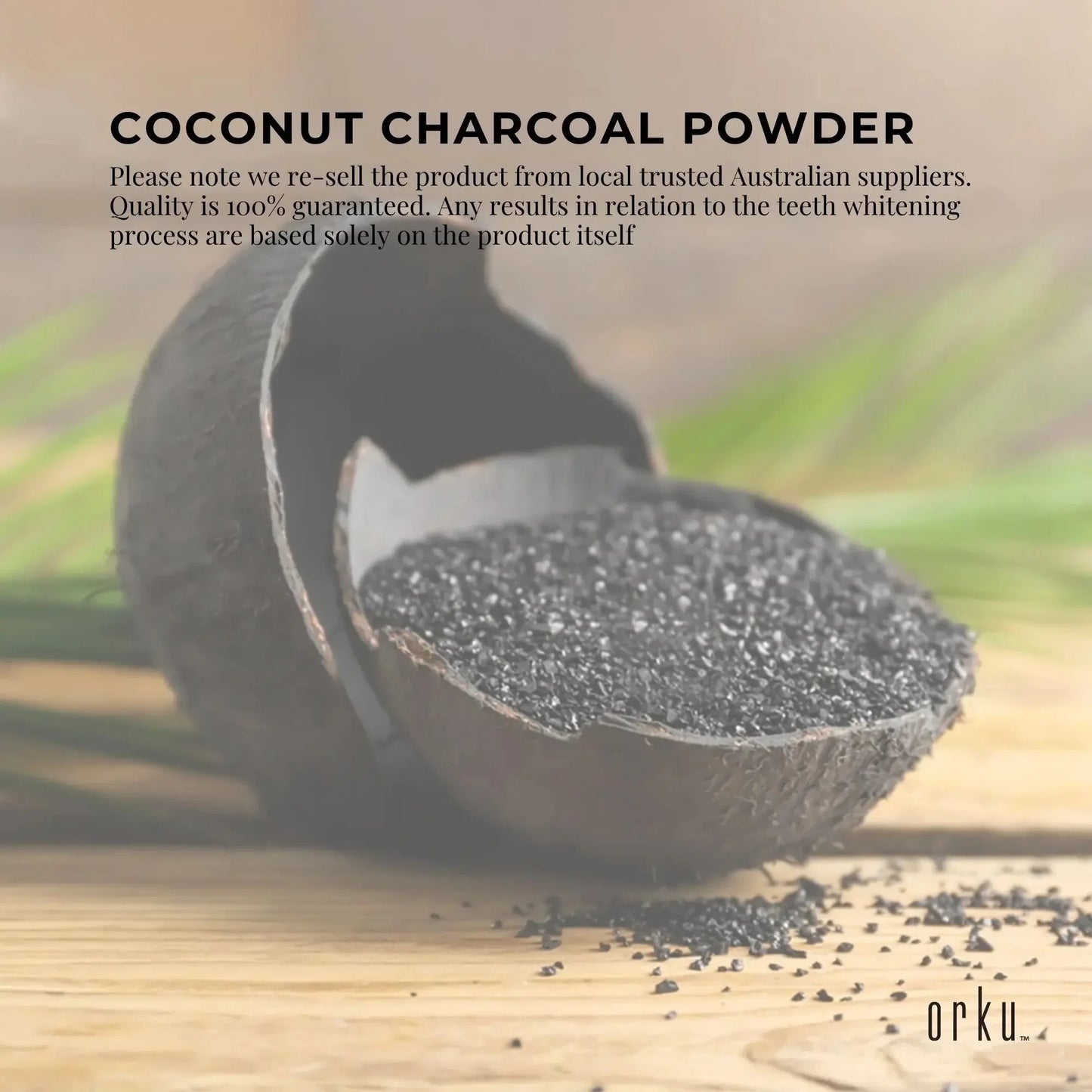 Bulk 10Kg Granular Activated Carbon GAC Coconut Shell Charcoal - Water Filtering Dropshipzone