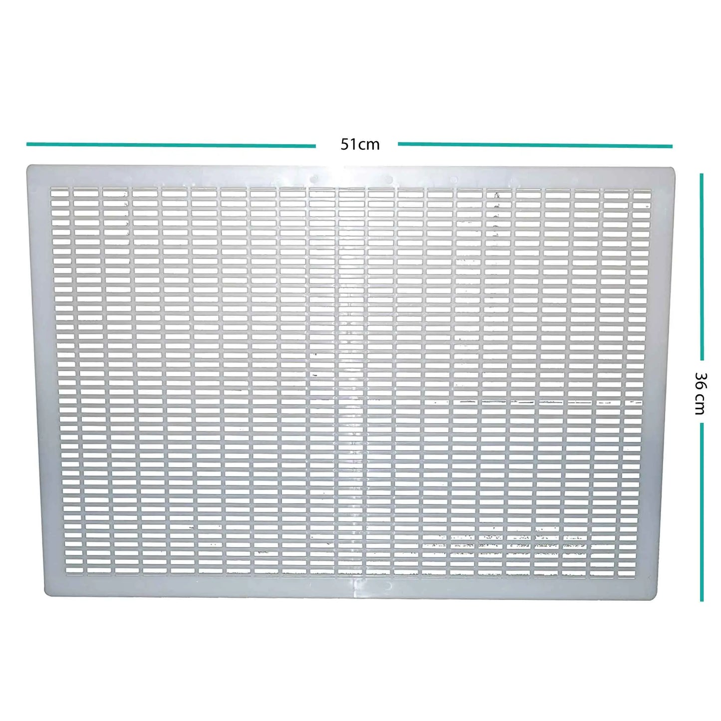 Queen Bee Excluder For 8 Frame Plastic 51x36cm Grill Trapper Beekeeping Tools - Paws & Palettes