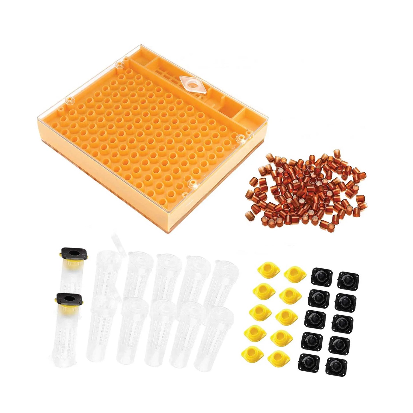 Nicot Queen Bee Rearing System Kit - Basic No Graft Jenter Starter Beekeeping - Paws & Palettes