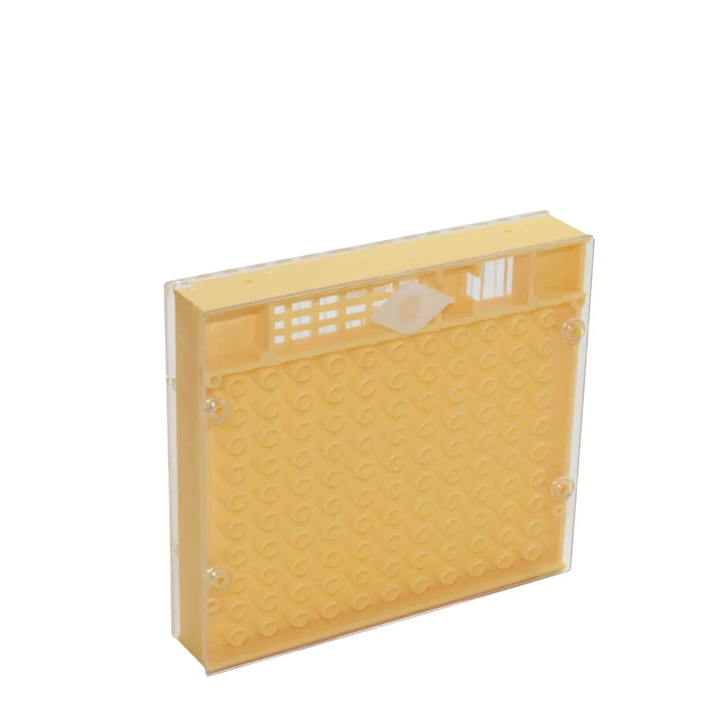 Nicot Queen Bee Rearing System Kit - Basic No Graft Jenter Starter Beekeeping - Paws & Palettes