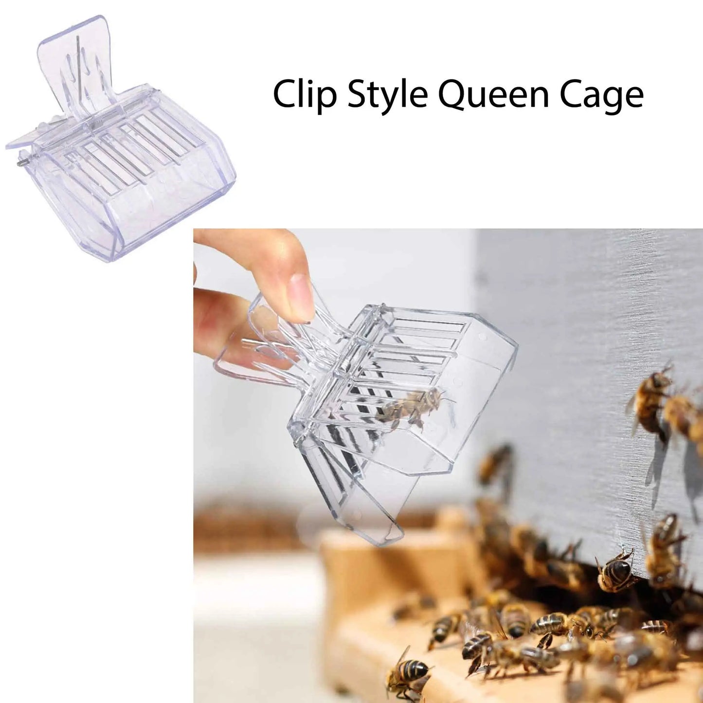 Beekeeping Tools Kit 10 Pcs - Honey Bee Hive Beekeeper Starter Pack - Paws & Palettes