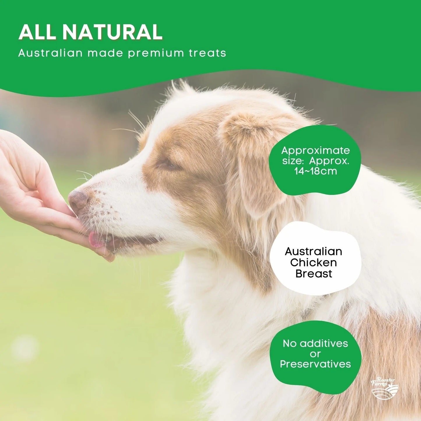 400g Dog Treat Chicken Breast Jerky - Dehydrated Australian Healthy Puppy Chew - Paws & Palettes