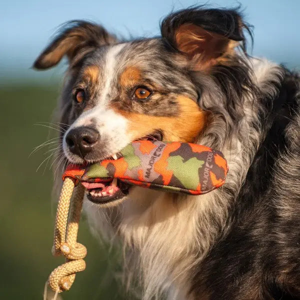 Major Dog Rascal Dummy - Fetch Toy - Paws & Palettes