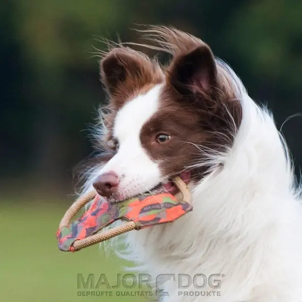 Major Dog Mini Frisbee - Fetch Toy - Paws & Palettes
