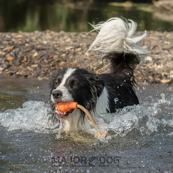 Major Dog Swimming Eddy Floating Fetch Toy with Handle - Large - Paws & Palettes