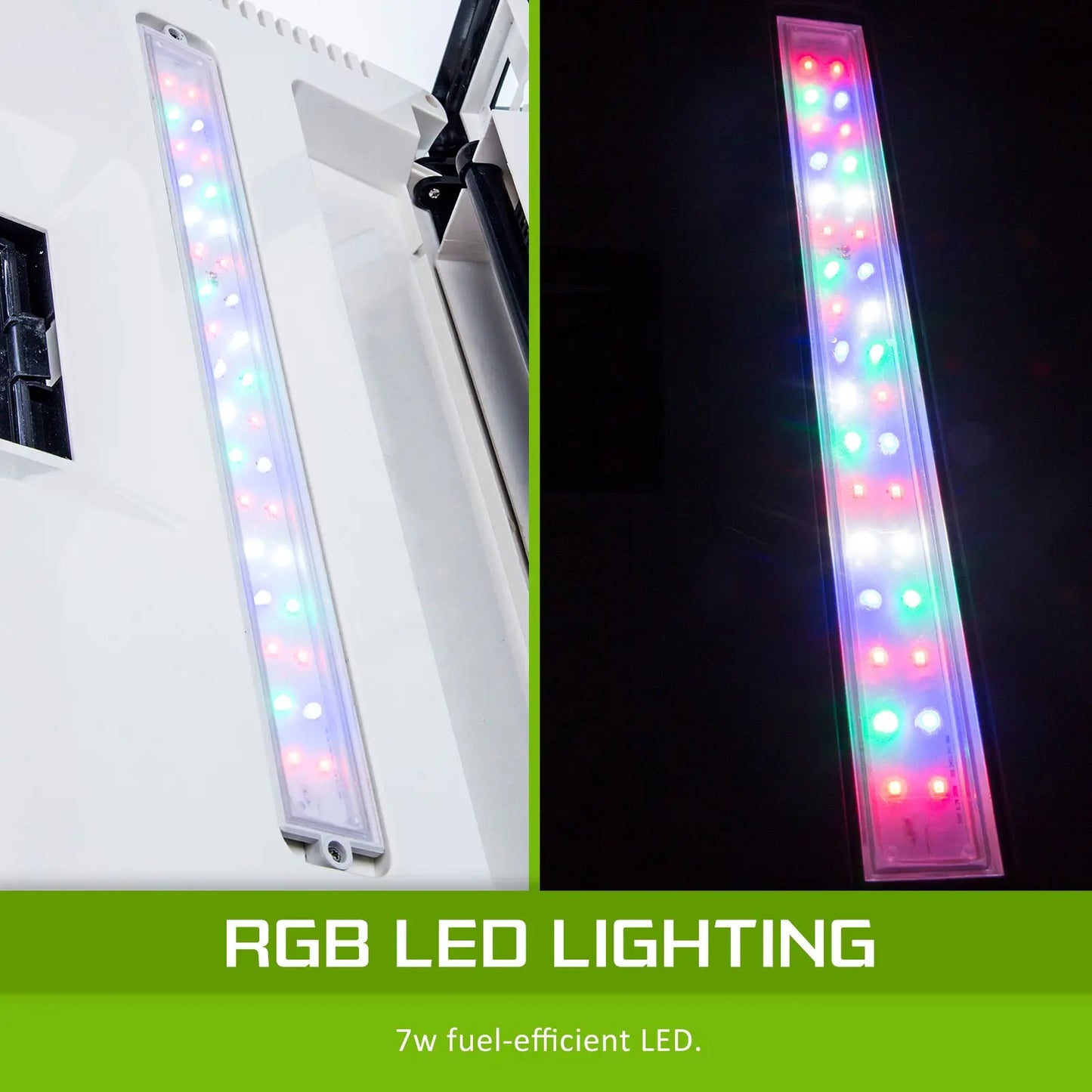 Aquarium Curved Glass RGB LED Fish Tank Set Filter Pump 52L - Paws & Palettes
