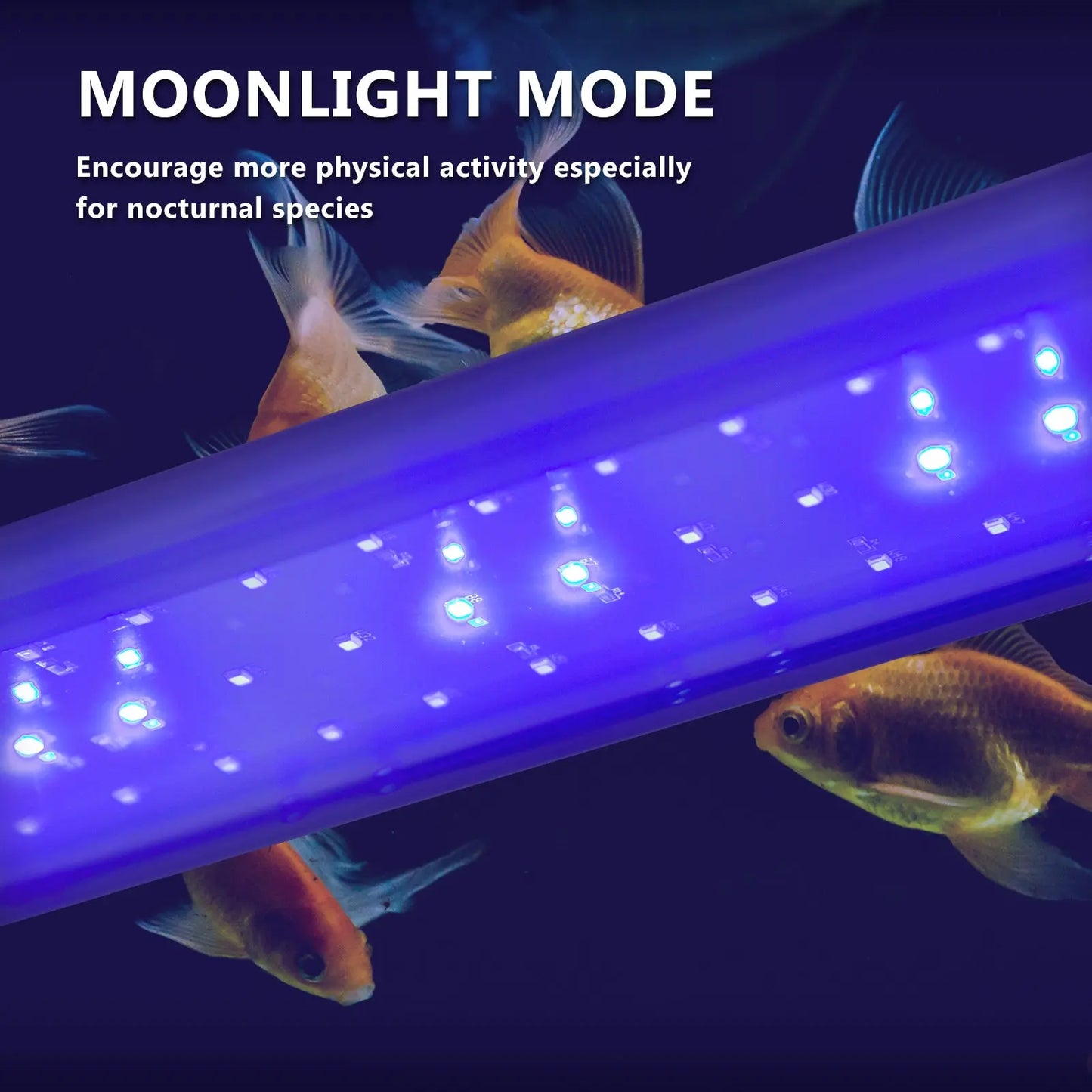 33W Aquarium Blue White LED Light for Tank 120-140cm - Paws & Palettes