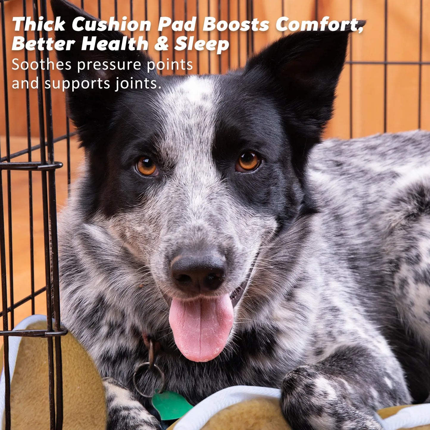 Wire Dog Cage Foldable Crate Kennel 24in with Tray + Cushion Mat Combo - Paws & Palettes