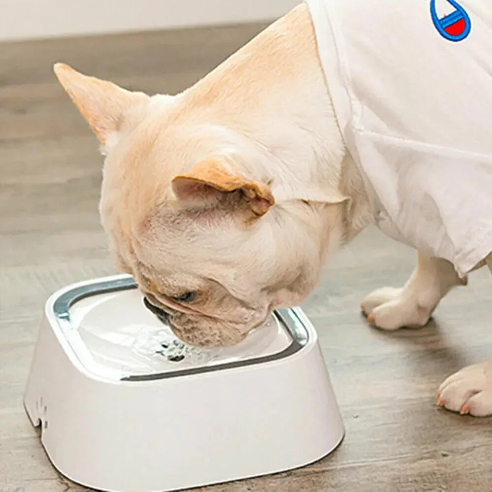 YES4PETS 1 x Medium Pet No Spill Feeder Bowl Dog Cat Puppy slow food Interactive Dish Dispenser Dropshipzone