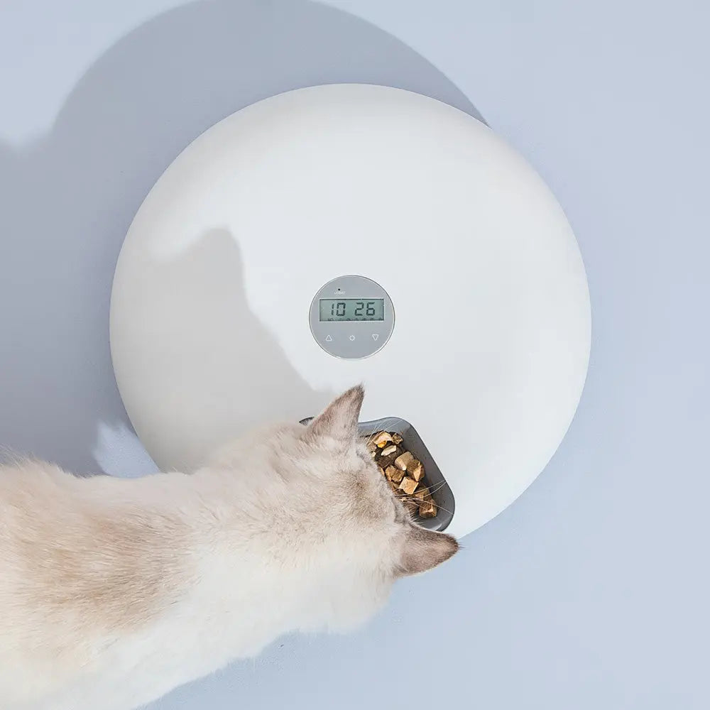 6 Meal Automatic Pet Dog Cat Food Feeder Dispenser with Programmable Timer White - Paws & Palettes