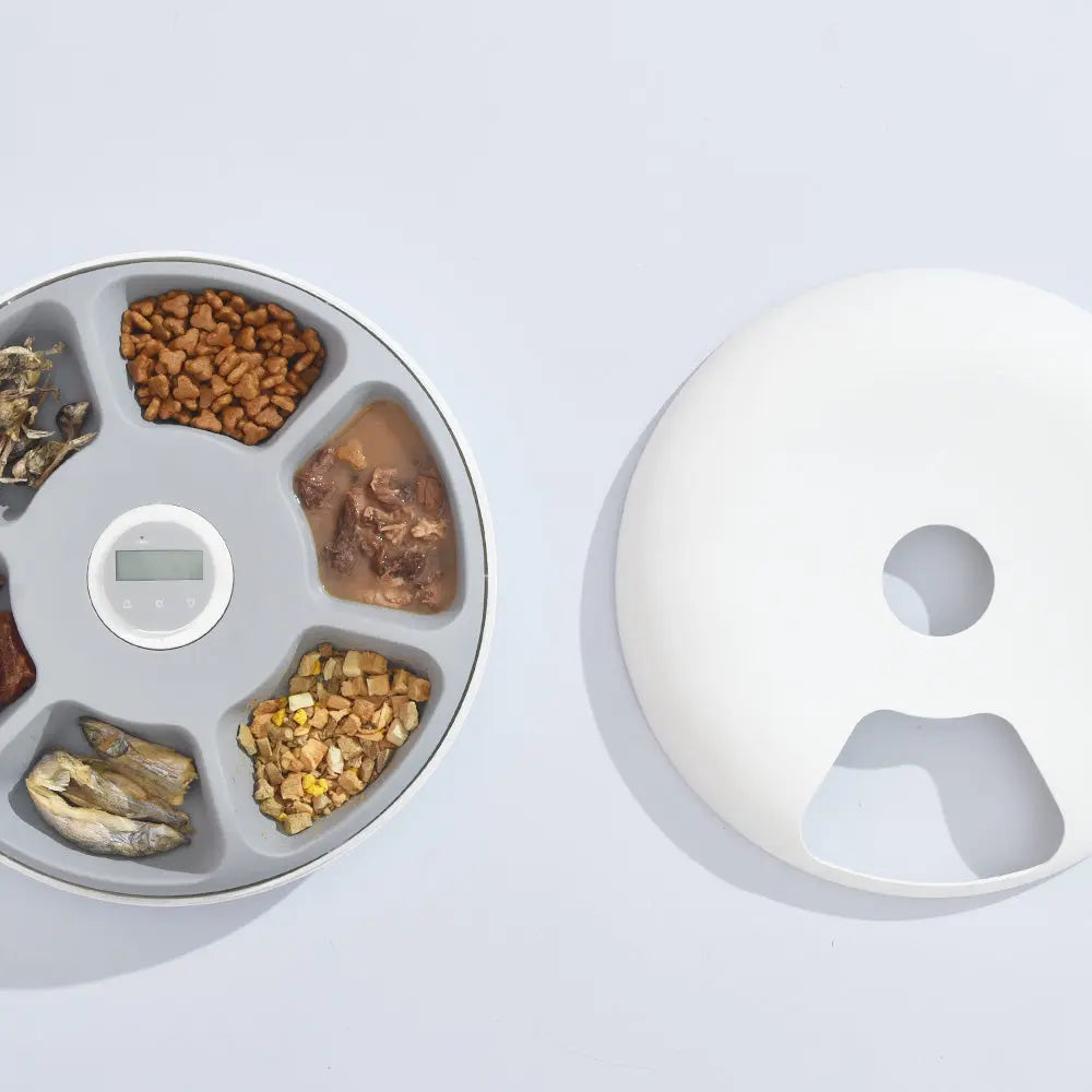 6 Meal Automatic Pet Dog Cat Food Feeder Dispenser with Programmable Timer White - Paws & Palettes