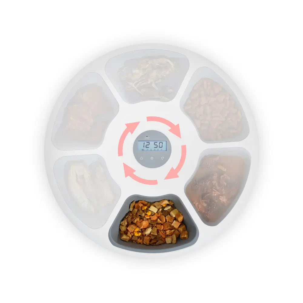 6 Meal Automatic Pet Dog Cat Food Feeder Dispenser with Programmable Timer White - Paws & Palettes