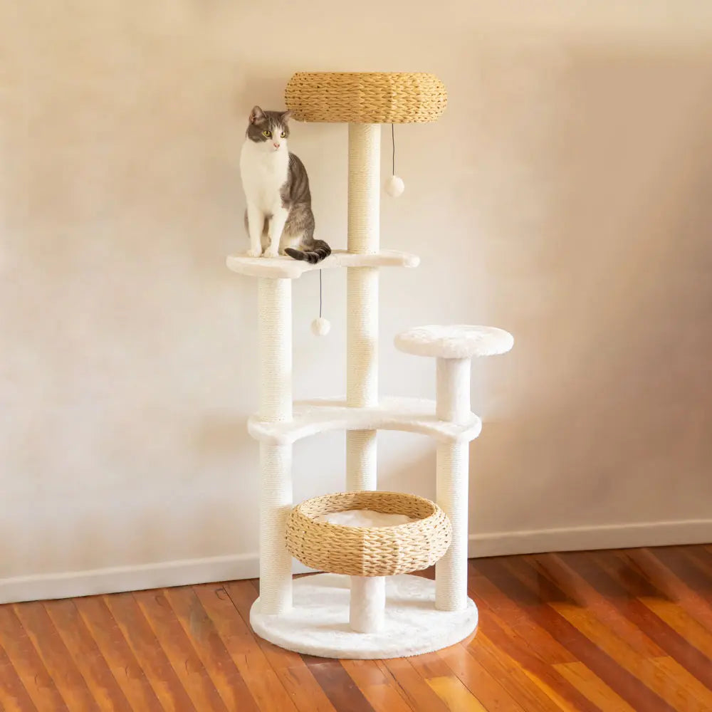 5-Platform Plush and Wicker Cat Tree - Paws & Palettes