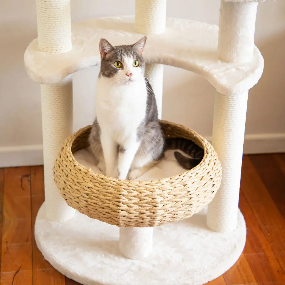 5-Platform Plush and Wicker Cat Tree - Paws & Palettes