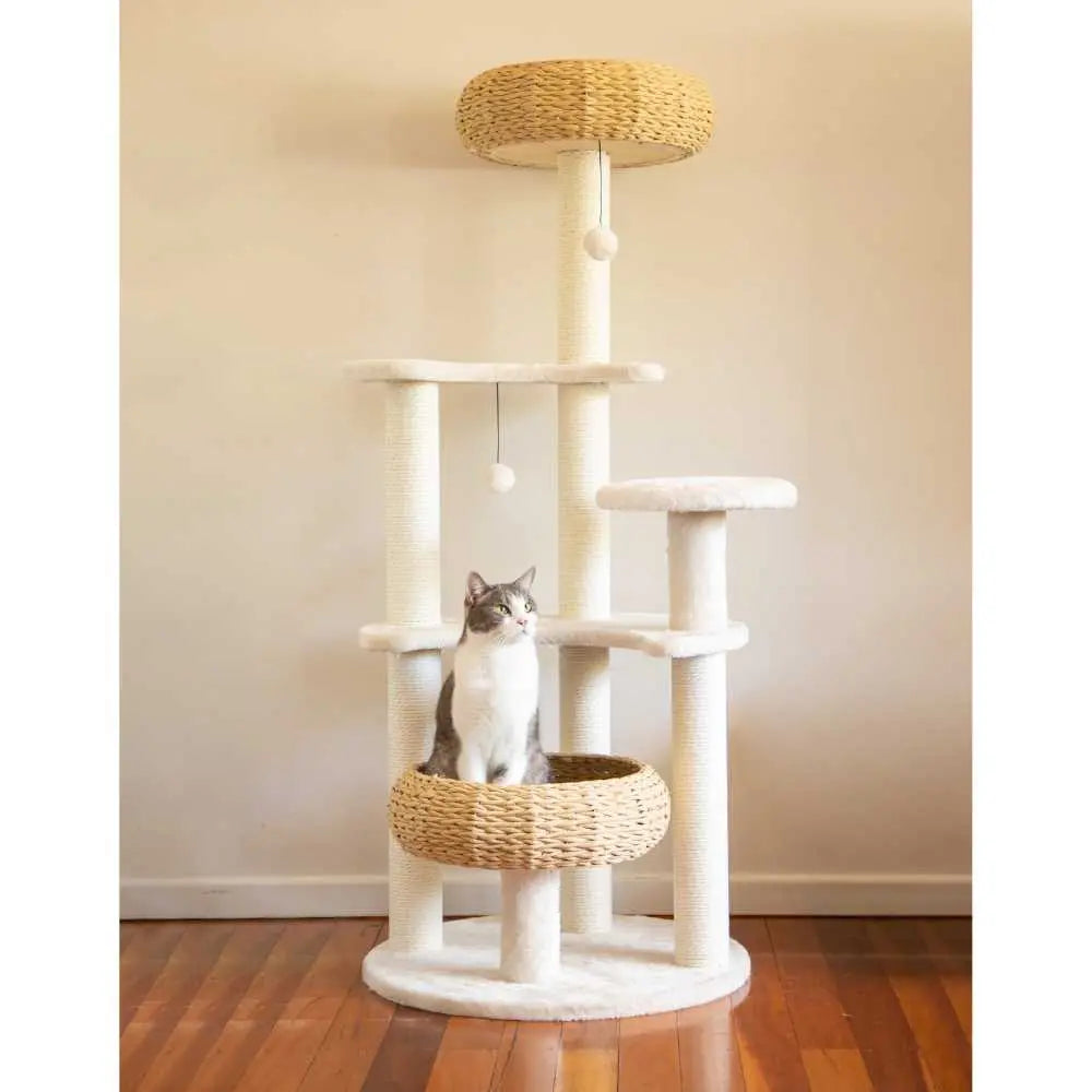 5-Platform Plush and Wicker Cat Tree - Paws & Palettes