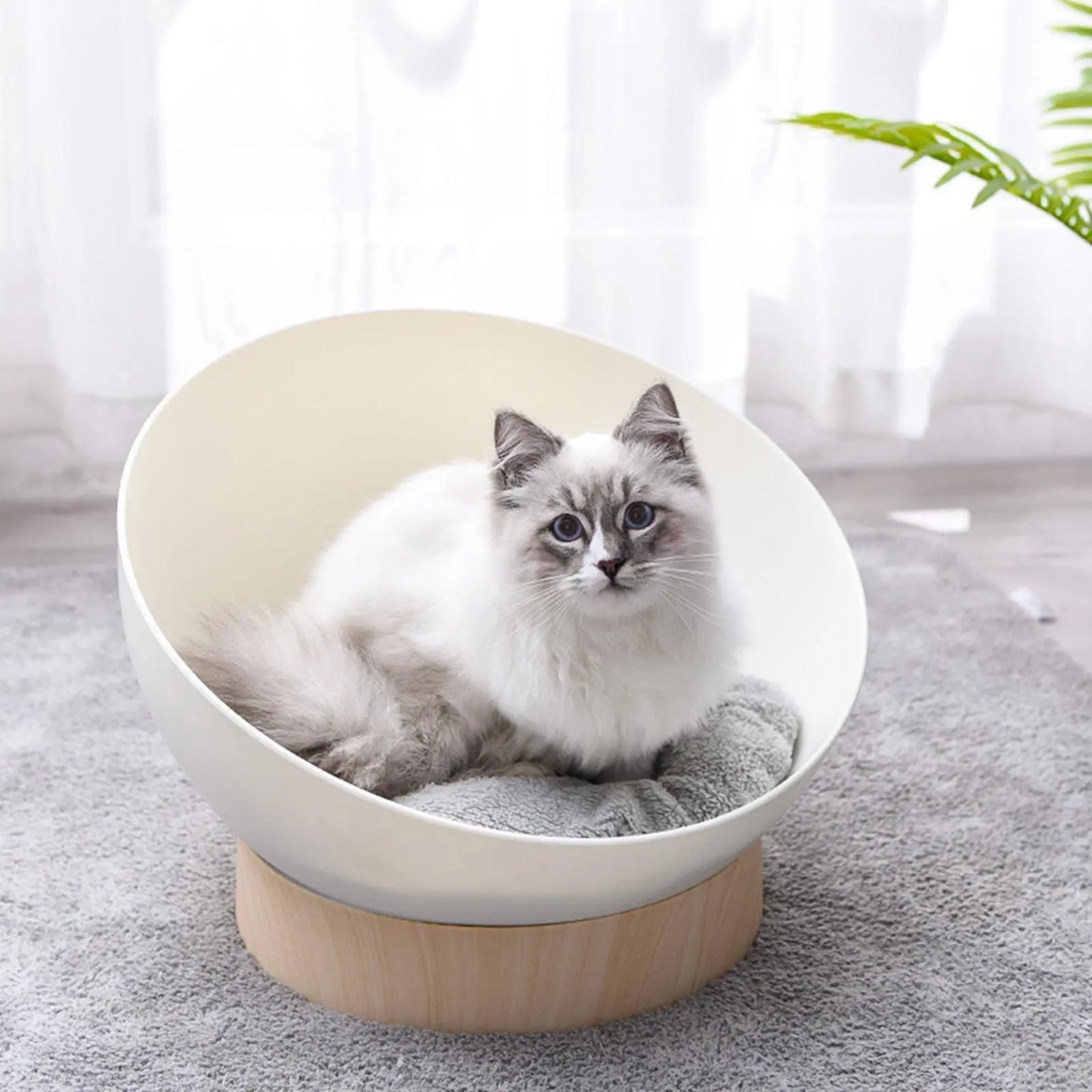 Cat Sphere Bed Nest - Paws & Palettes