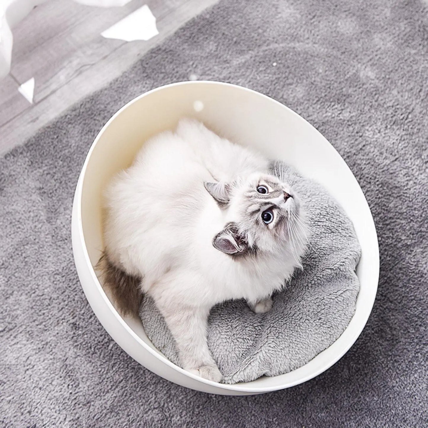 Cat Sphere Bed Nest - Paws & Palettes