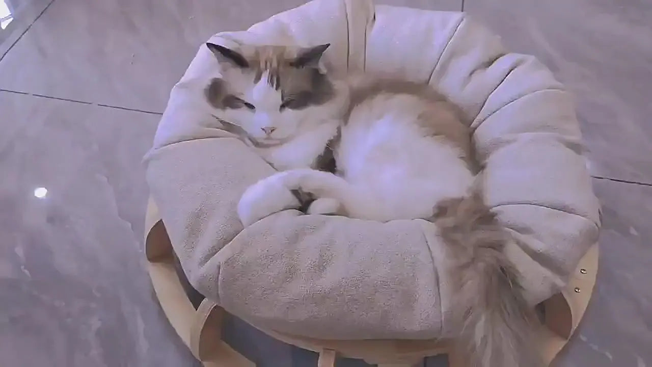 Timber Gyro Cat Nest Bed - Paws & Palettes