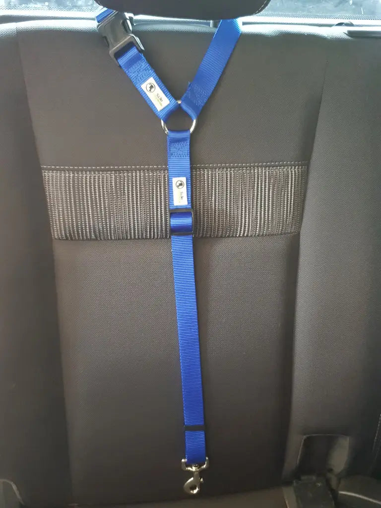 Dog Seatbelt Headrest Restraint Safety Travel - Moondidley Pets Blue - Paws & Palettes