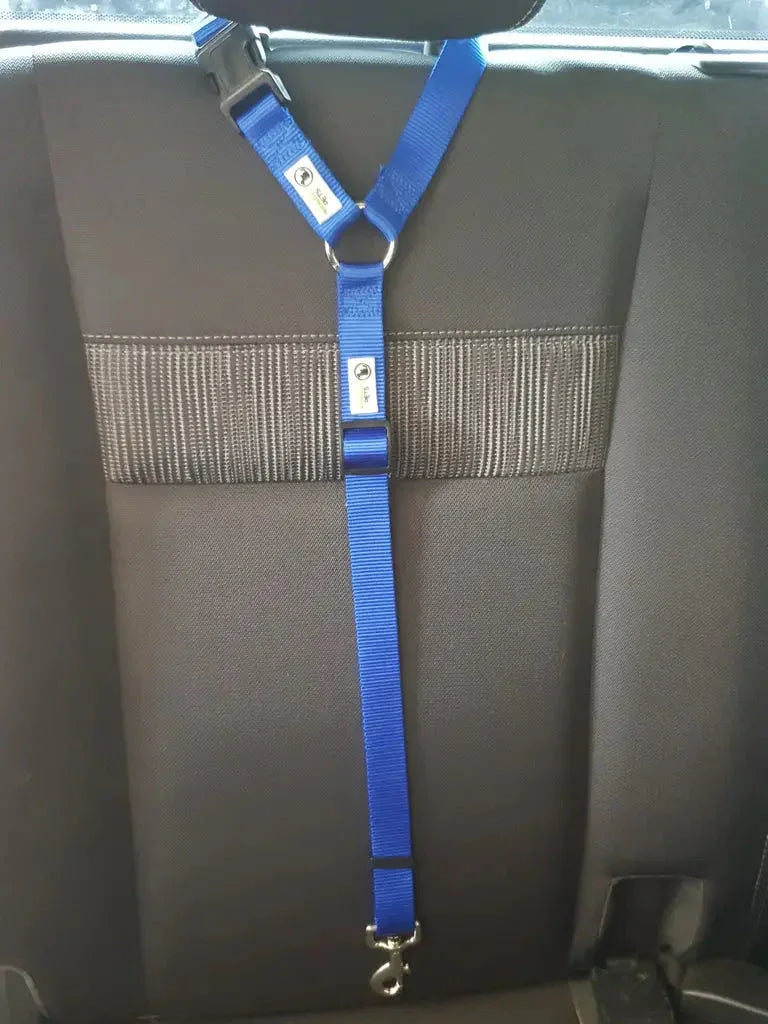 Dog Seatbelt Headrest Restraint Safety Travel - Moondidley Pets Blue Dropshipzone