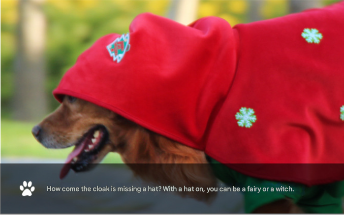Christmas Dog Costume - Festive Hooded Cape & Green Jumpsuit Outfit Various Sizes.