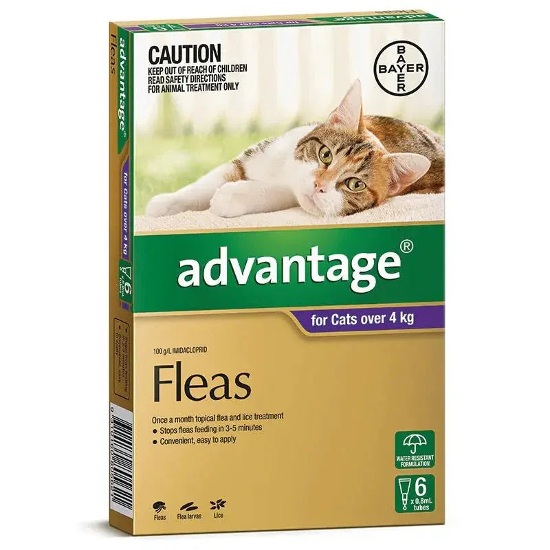 Advantage – Fleas – Cats over 4kg Agline