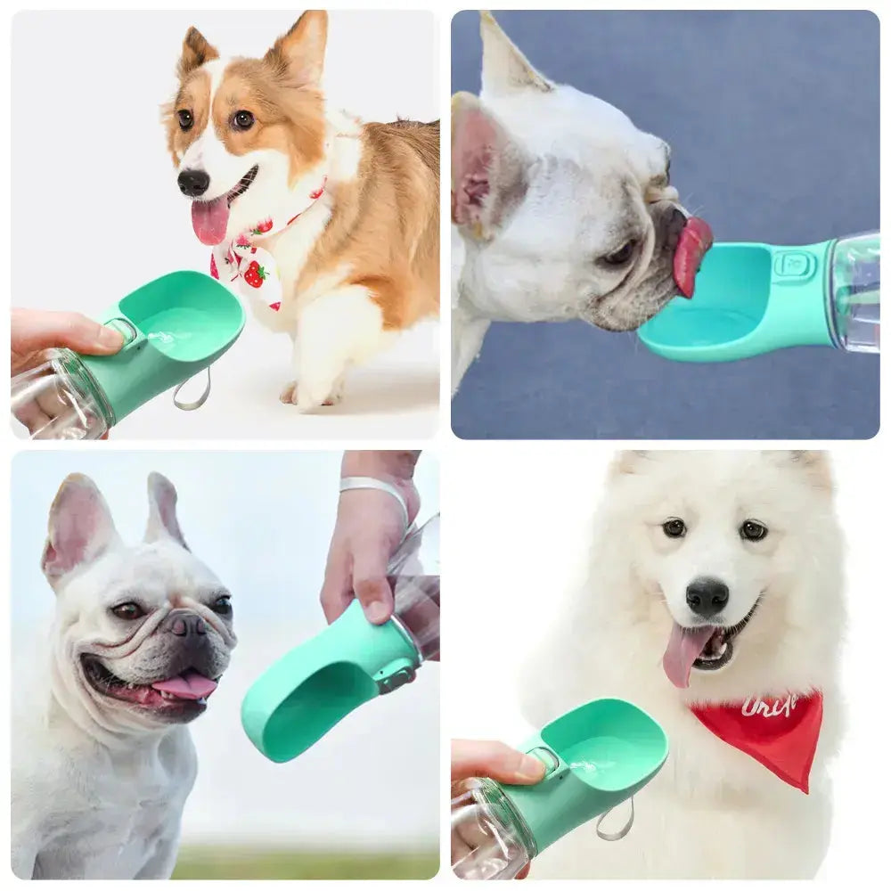 Portable Leakproof Dog Water Bottle - Paws & Palettes