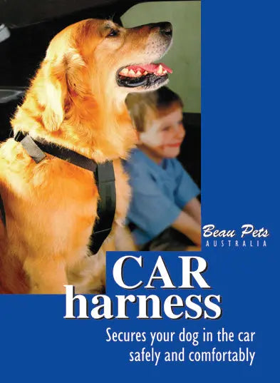 Beau Pets – Car Harness - Paws & Palettes