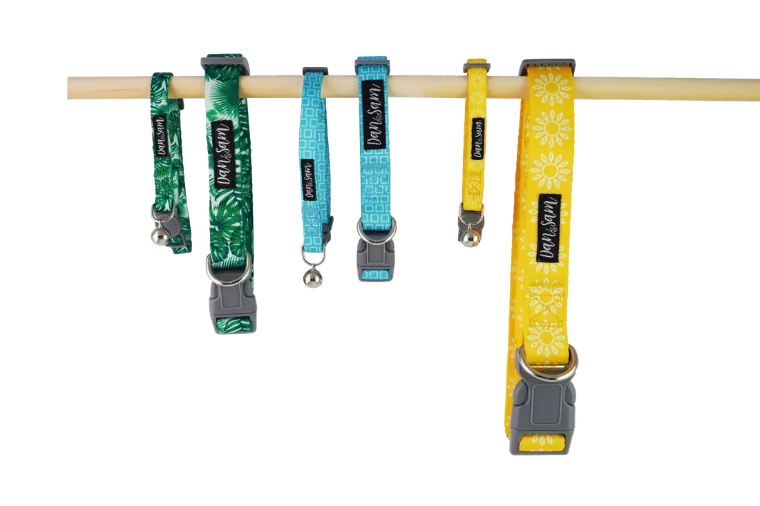 Dan & Sam – Dog – Adjustable Polyester Webbing Collar – Grooving - Paws & Palettes