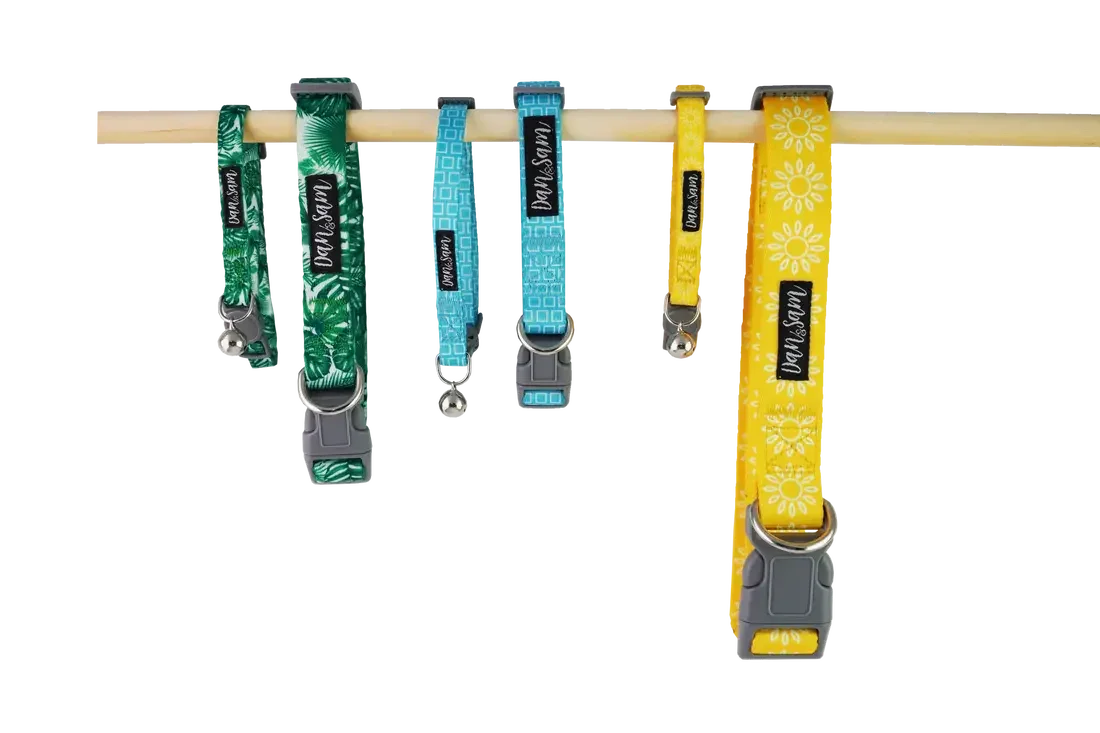 Dan & Sam – Dog – Adjustable Polyester Webbing Collar – Sunflower Agline