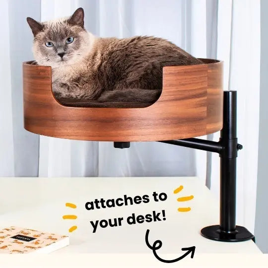 Desk Nest Cat Bed - The Purrfect Cat Bed for Your Desk - Paws & Palettes