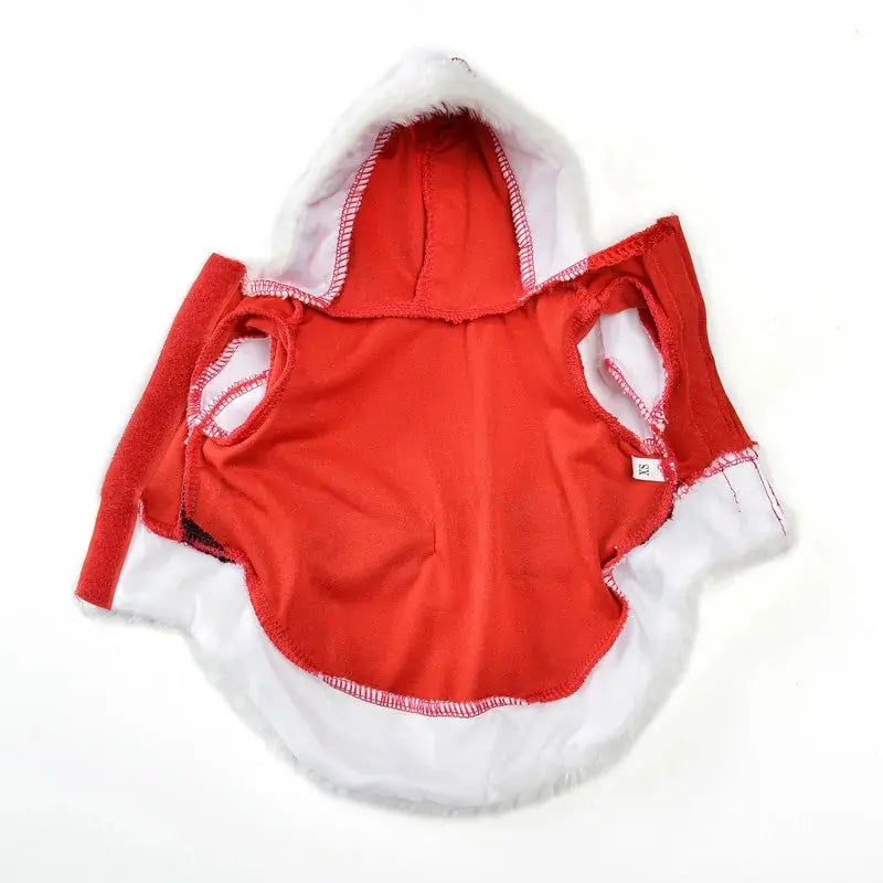 Santa Pet Outfit - Paws & Palettes