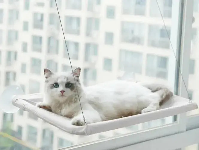 Pet Window Hammock - Paws & Palettes