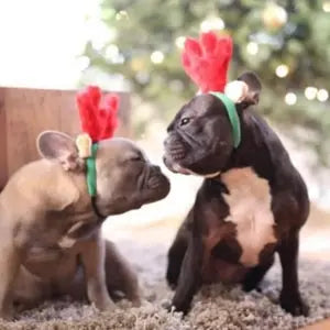 Zippy Paws – Christmas Antlers Headband - Paws & Palettes