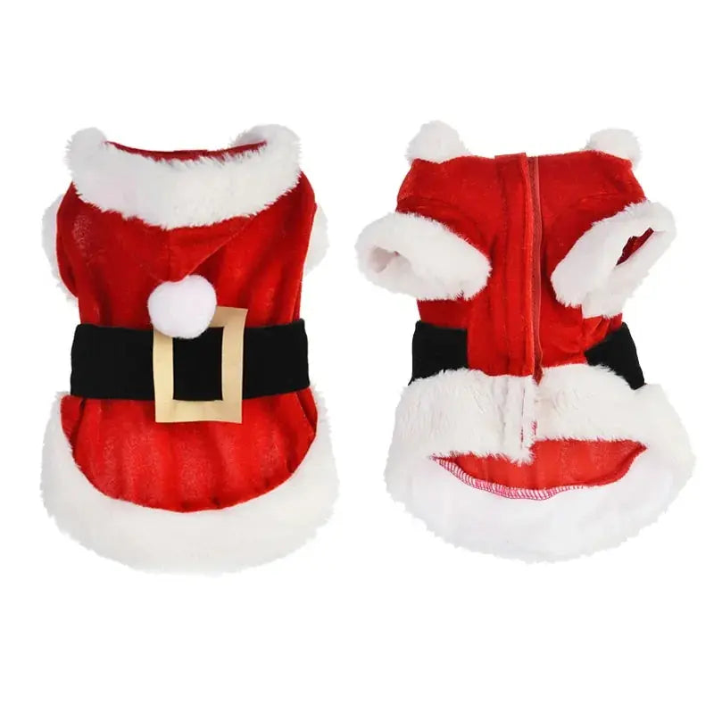 Santa Pet Outfit - Paws & Palettes