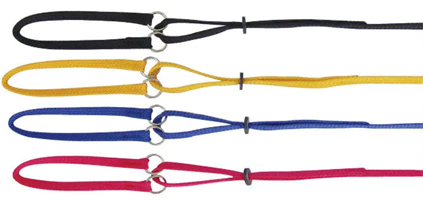 Beau Pets – Nylon – Single Nylon – Martingale - Paws & Palettes