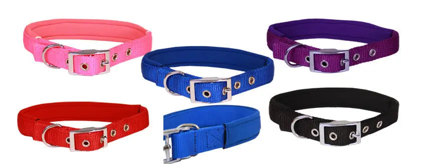 Beau Pets – Neoprene Collar – Red - Paws & Palettes