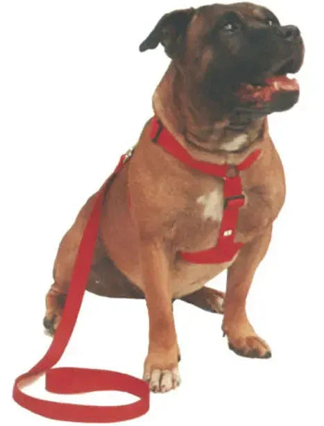 Beau Pets – Walking Harness – Red Agline