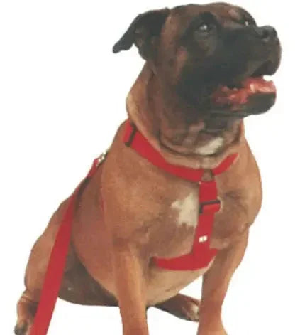 Beau Pets – Walking Harness – Black Agline