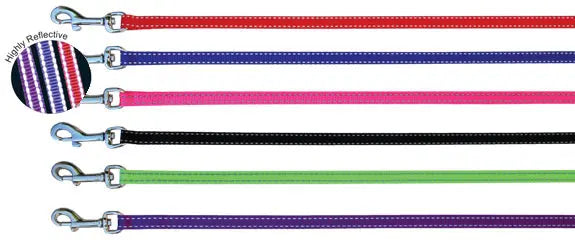 Beau Pets – Puppy – Lead – Reflective Thread - Paws & Palettes