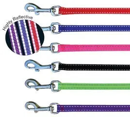 Beau Pets – Puppy – Lead – Reflective Thread - Paws & Palettes
