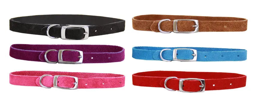 Beau Pets – Puppy – Collar – Suede - Paws & Palettes