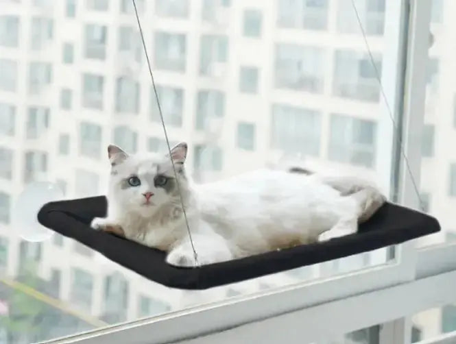 Pet Window Hammock - Paws & Palettes
